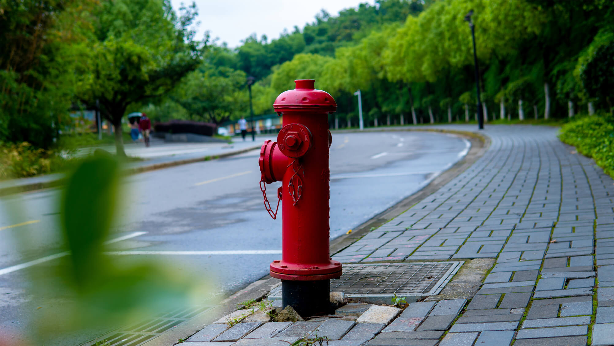 Red fire hydrant at the said of a residential road